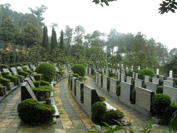 南山龙园